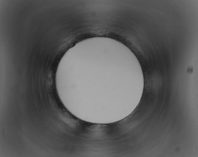 X0000089360128200707131623