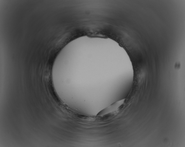 X0000089360129200707131623