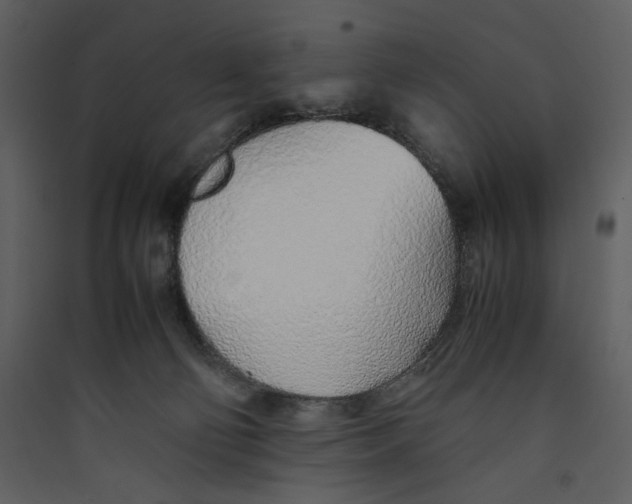 X0000089360130200707131623