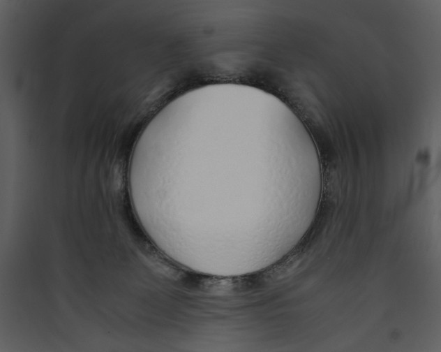 X0000089360131200707131623