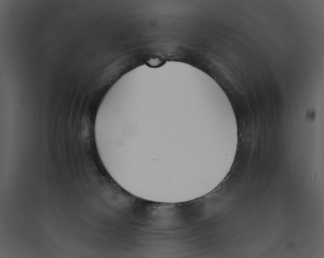 X0000089360132200707131623