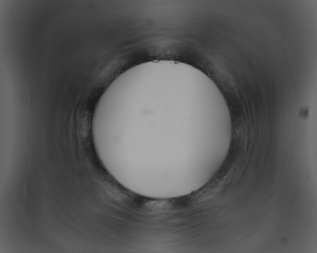 X0000089360133200707131623