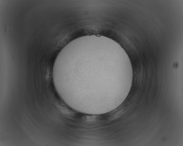 X0000089360134200707131623