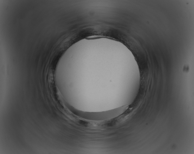 X0000089360137200707131623