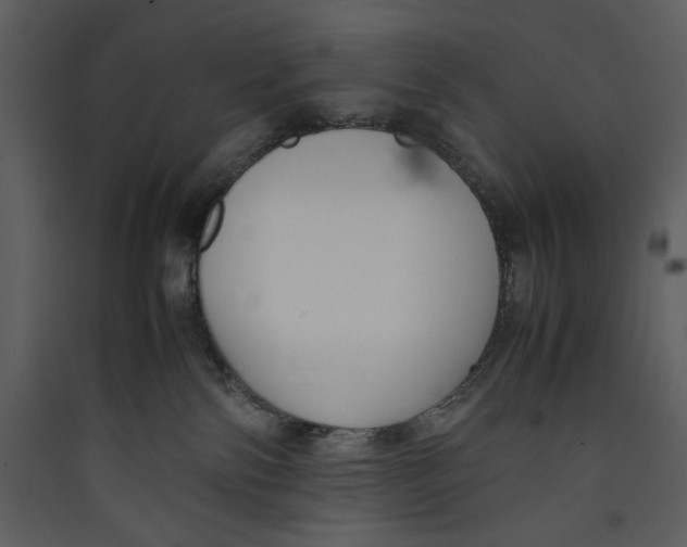 X0000089360138200707131623