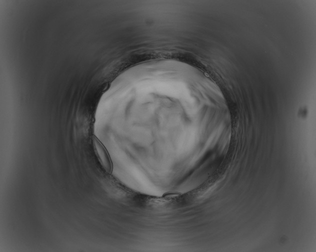 X0000089360139200707131623
