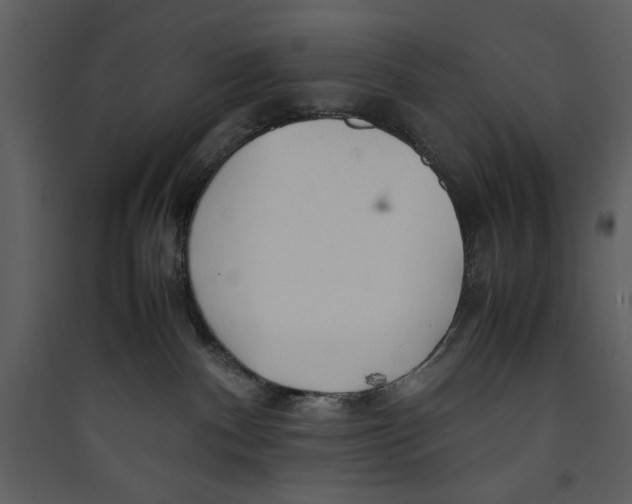 X0000089360140200707131623