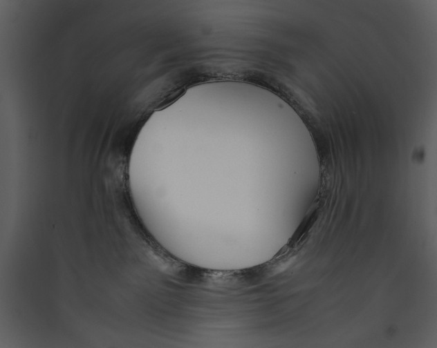 X0000089360141200707131623