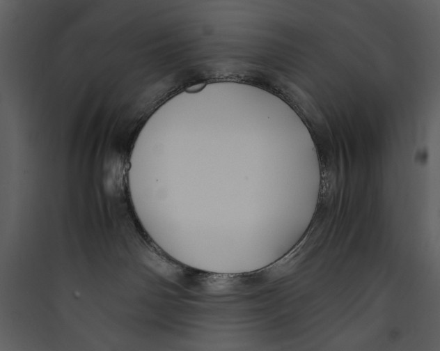 X0000089360142200707131623