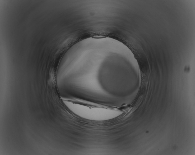 X0000089360143200707131623