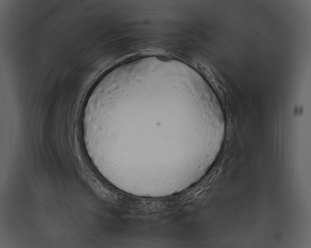 X0000089360145200707131622
