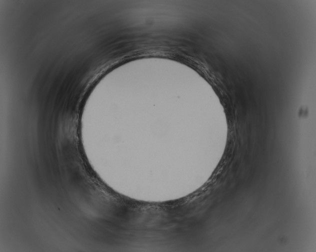 X0000089360146200707131622