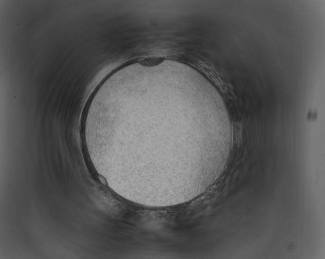 X0000089360147200707131622