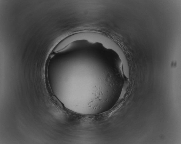 X0000089360148200707131622