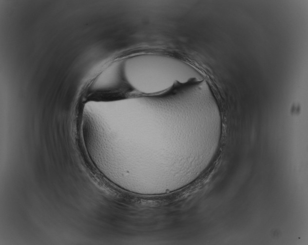 X0000089360149200707131622