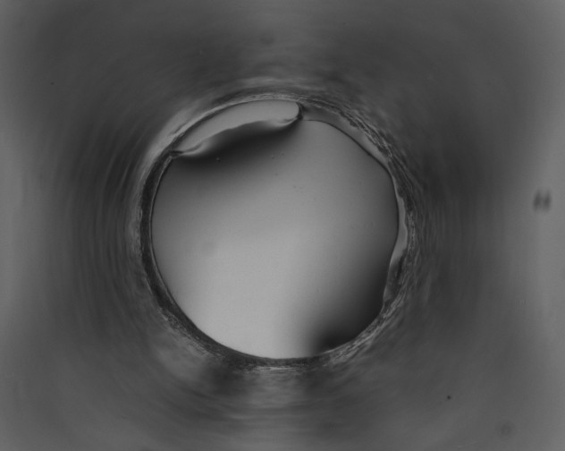 X0000089360150200707131622