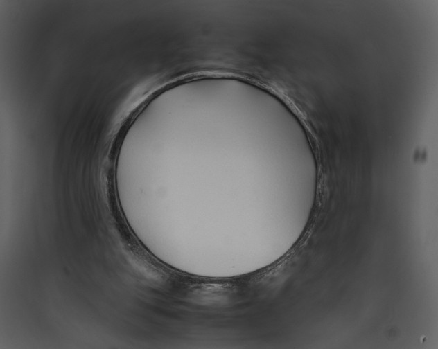 X0000089360151200707131622