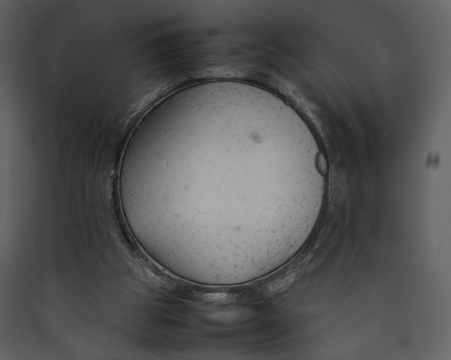 X0000089360153200707131622