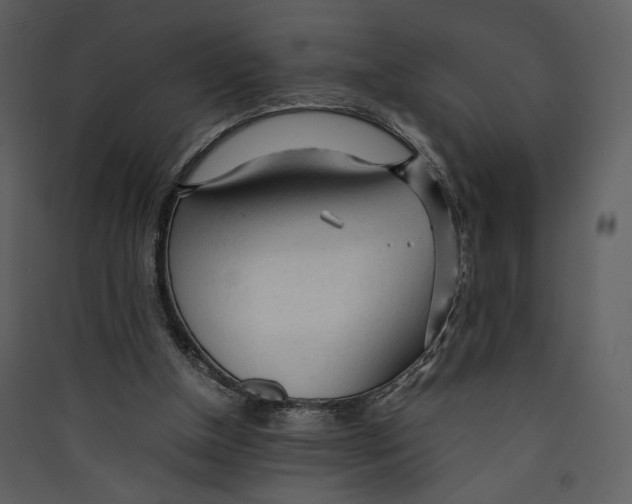 X0000089360154200707131622