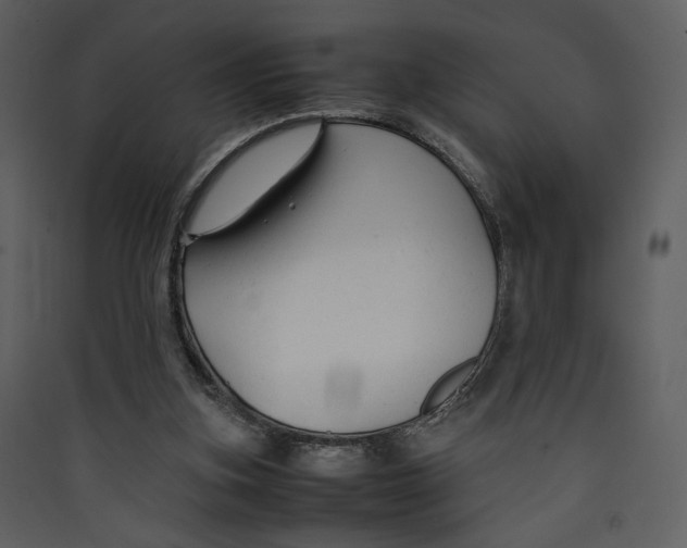 X0000089360155200707131622