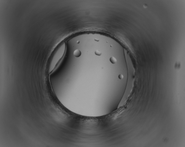X0000089360156200707131622