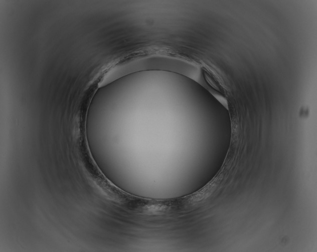 X0000089360158200707131622