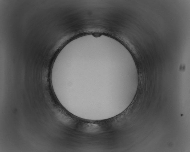 X0000089360159200707131622