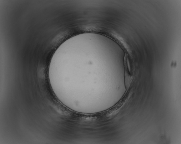 X0000089360161200707131622