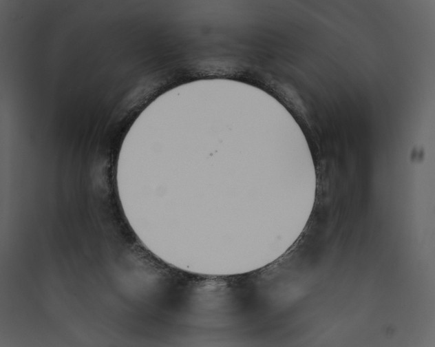 X0000089360162200707131622