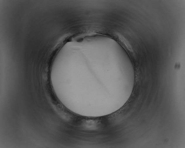 X0000089360163200707131622