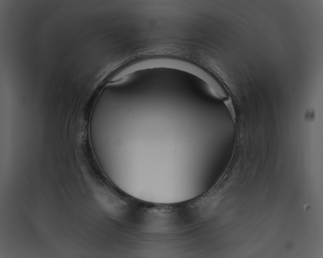 X0000089360164200707131622
