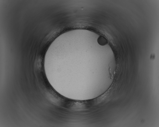 X0000089360166200707131622