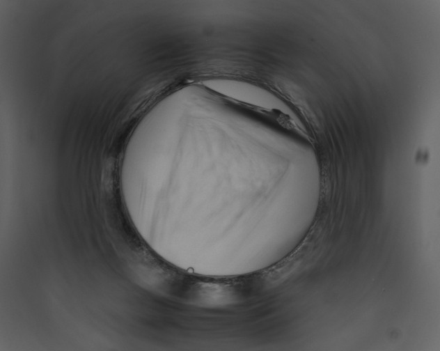 X0000089360167200707131622