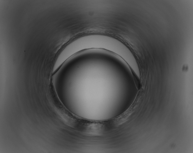 X0000089360168200707131622
