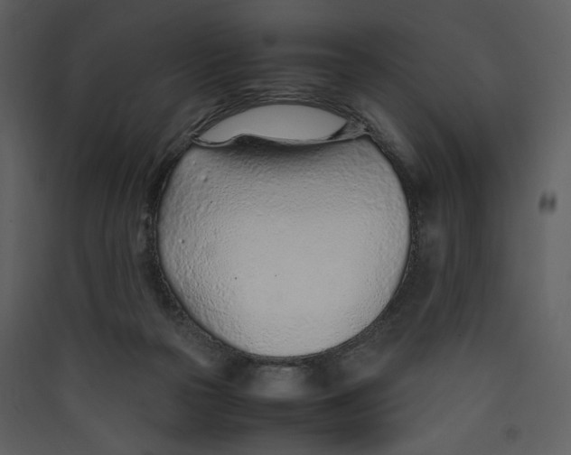 X0000089360169200707131622