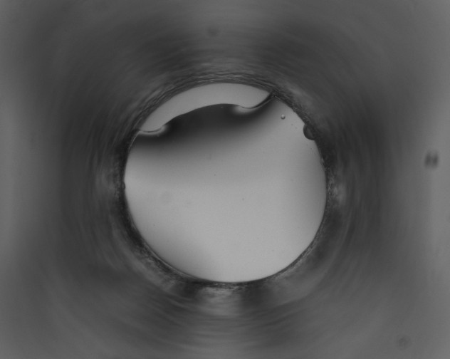 X0000089360170200707131622