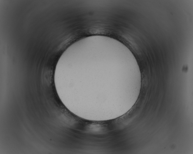X0000089360171200707131622