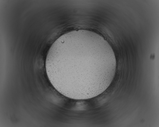 X0000089360173200707131622
