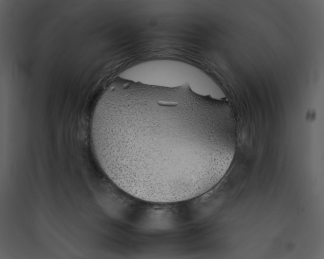 X0000089360175200707131622