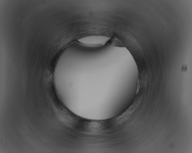 X0000089360176200707131622