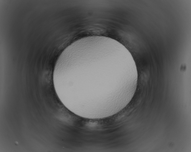 X0000089360177200707131622