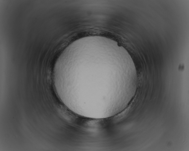 X0000089360178200707131622