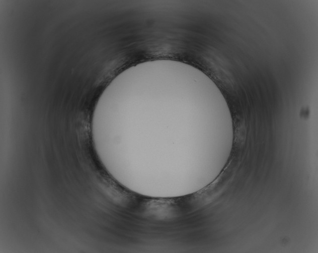 X0000089360179200707131622
