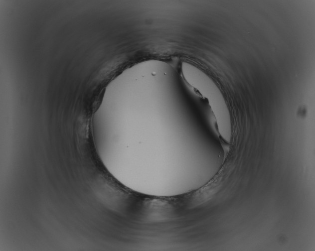 X0000089360180200707131622