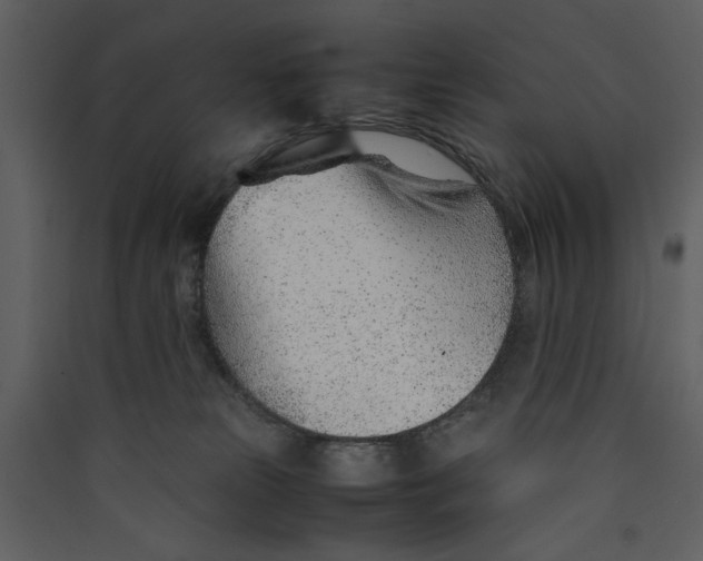 X0000089360181200707131622