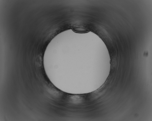 X0000089360183200707131622