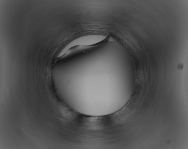 X0000089360184200707131623