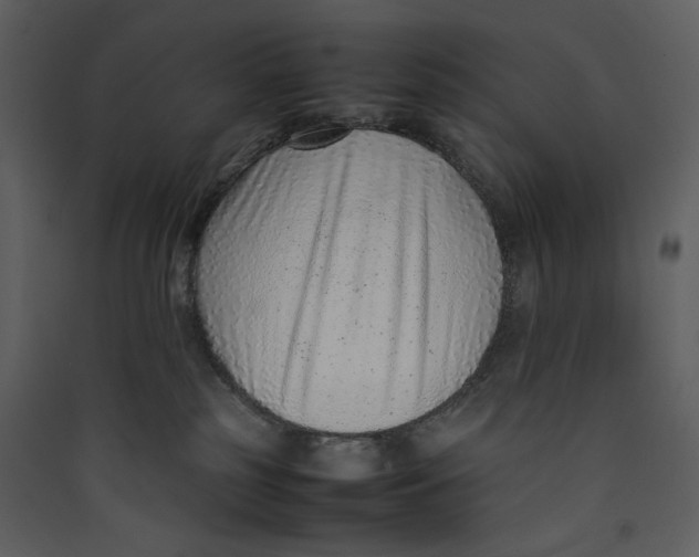 X0000089360185200707131623