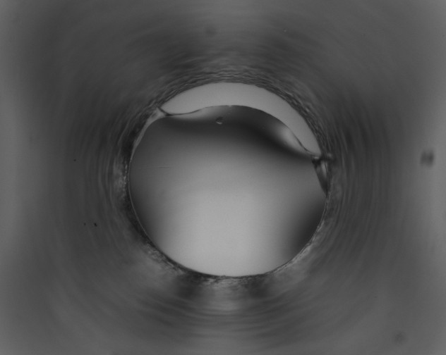 X0000089360186200707131623