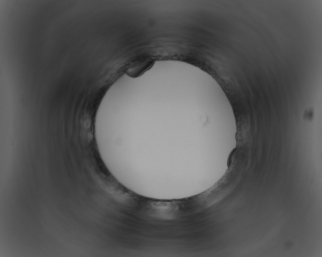 X0000089360187200707131623